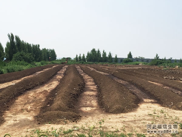 生物有機(jī)肥生產(chǎn)技術(shù)與工藝流程詳解